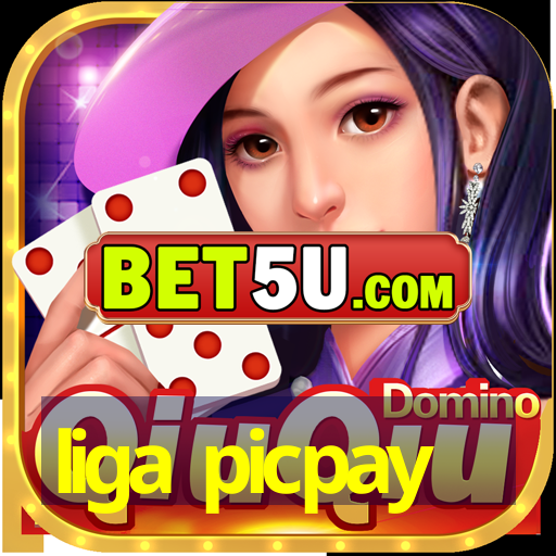 liga picpay